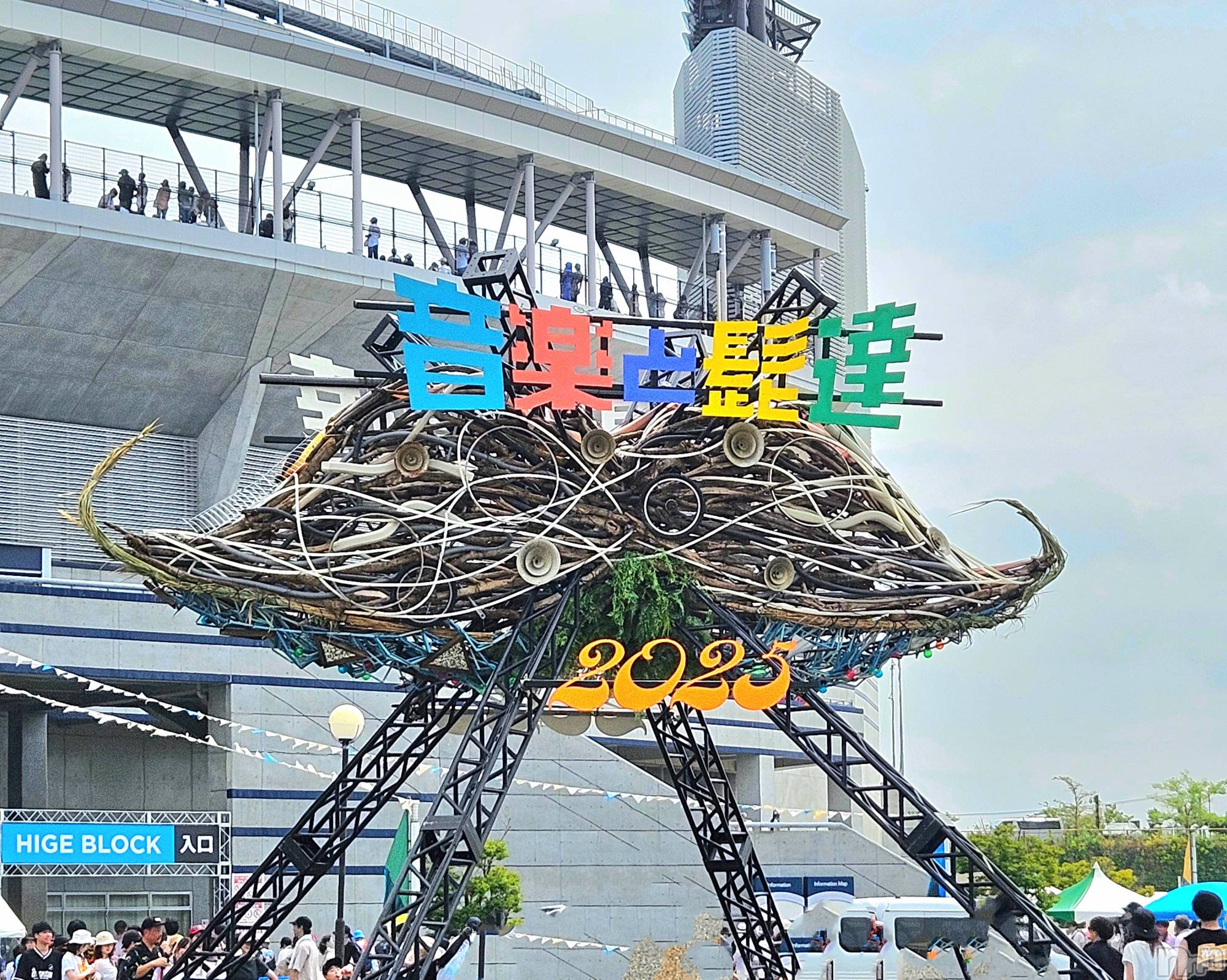 ĮХ顦֥ ץ ( ץ ) 2025ǯ831̥֥🎶