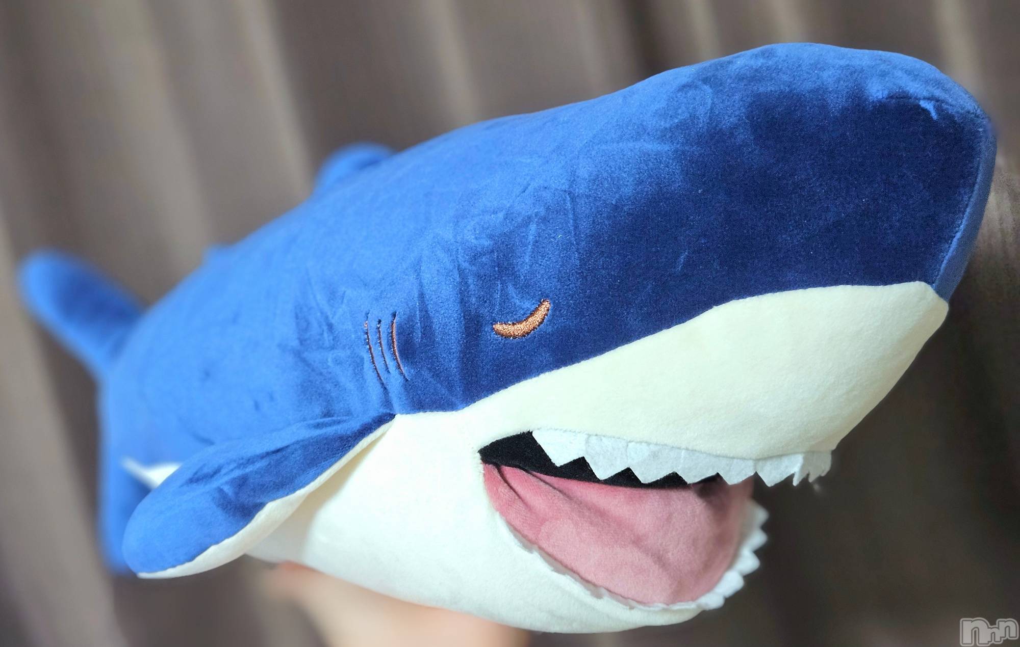 ĮХ顦֥ ץ ( ץ ) 2025ǯ92̥֥🦈