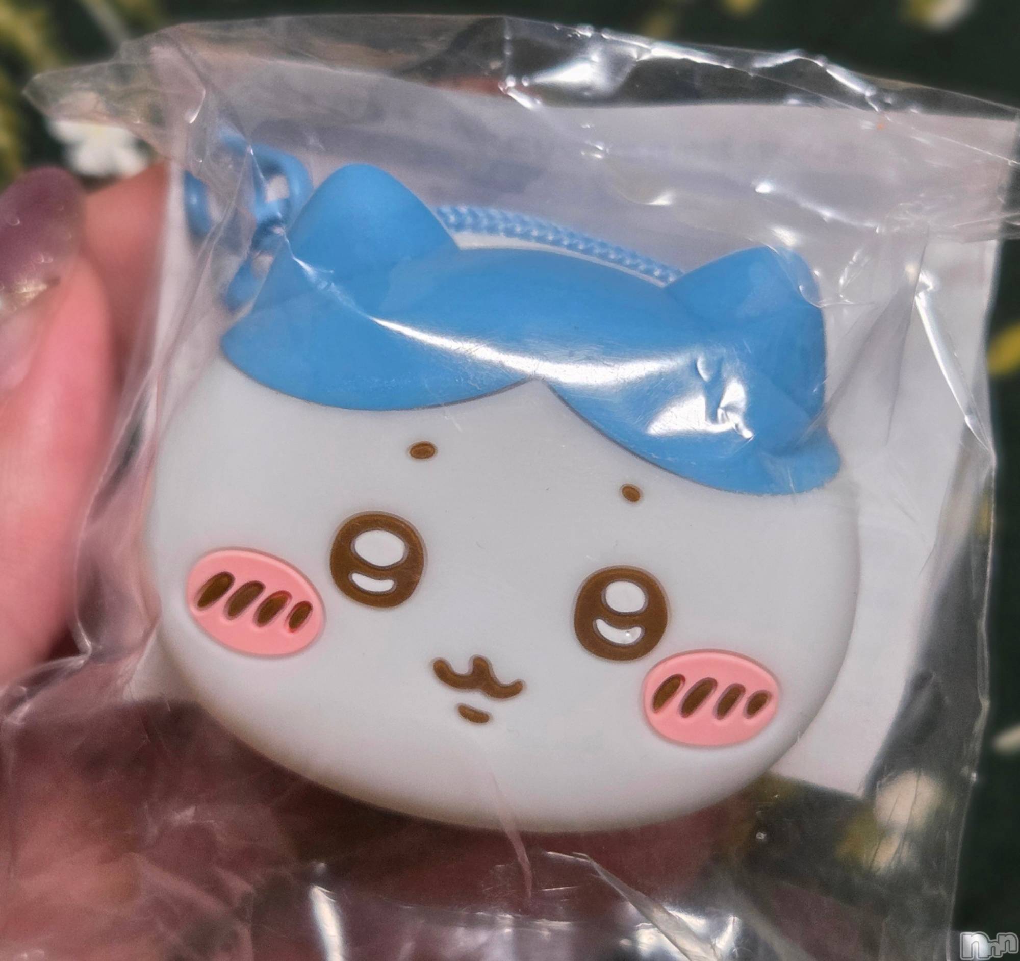 ĮХ顦֥ ץ ( ץ ) 2025ǯ923̥֥🐱