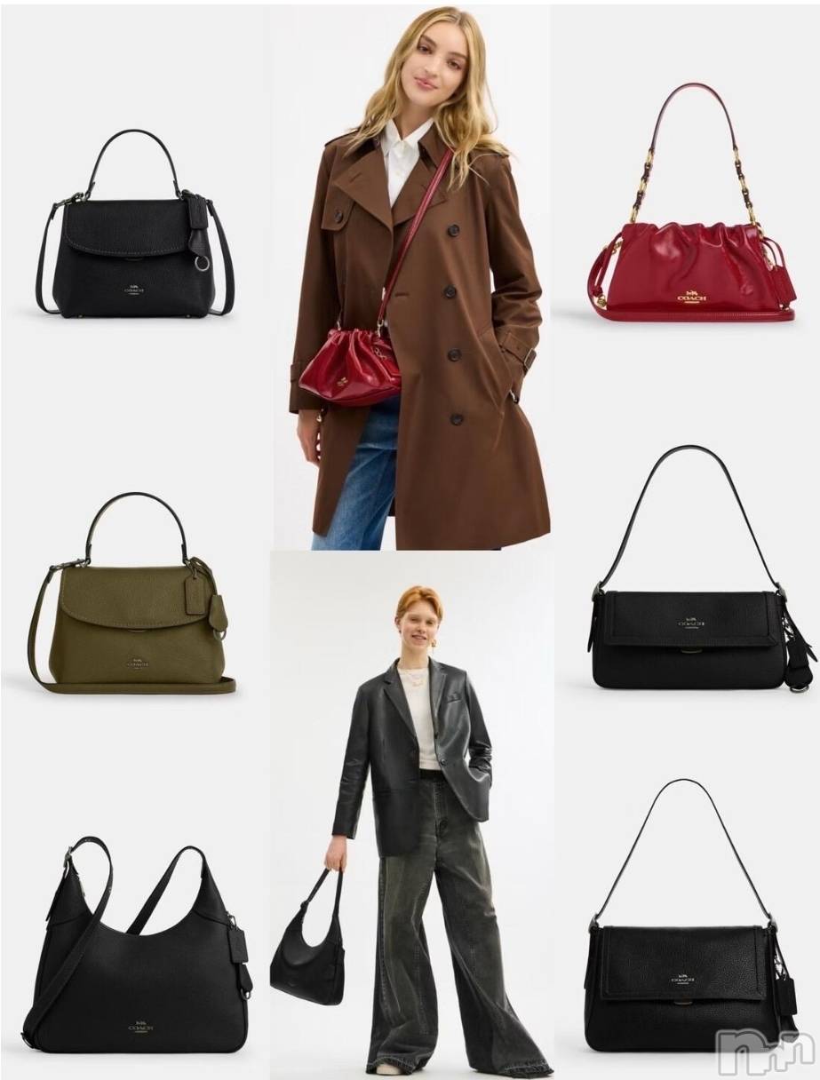 ĮХ顦֥ ץ ( ץ ) 2025ǯ926̥֥👜