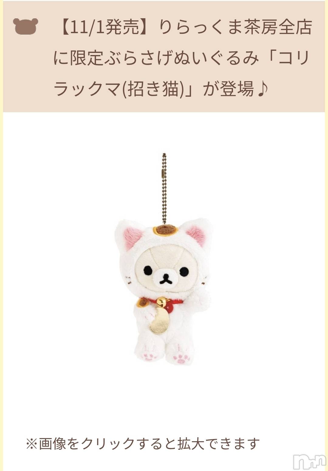 ĮХ顦֥ ץ ( ץ ) 2025ǯ113̥֥🐱