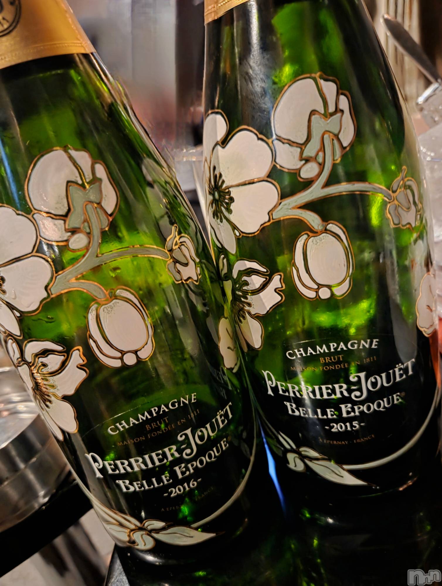 ĮХ顦֥ ץ ( ץ ) 2025ǯ115̥֥🥂 ͛