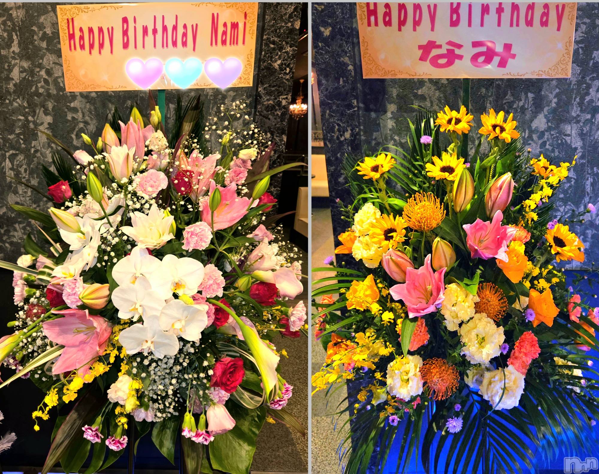 ĮХ顦֥ ץ ( ץ ) 2025ǯ1113̥֥🌸