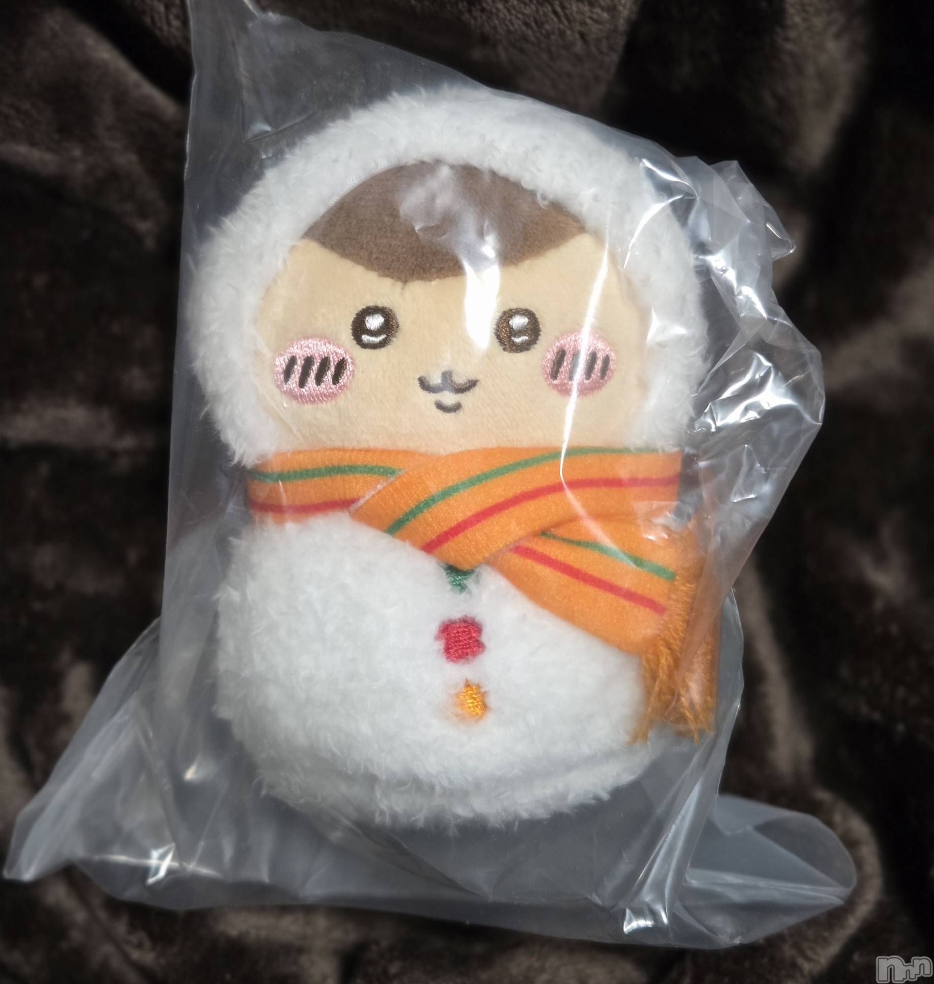 ��Į����Х��顦����֥���� �ץ���� ����(����� �ץ���� ������) ��2025ǯ12��17���̥�֥�����🌰��