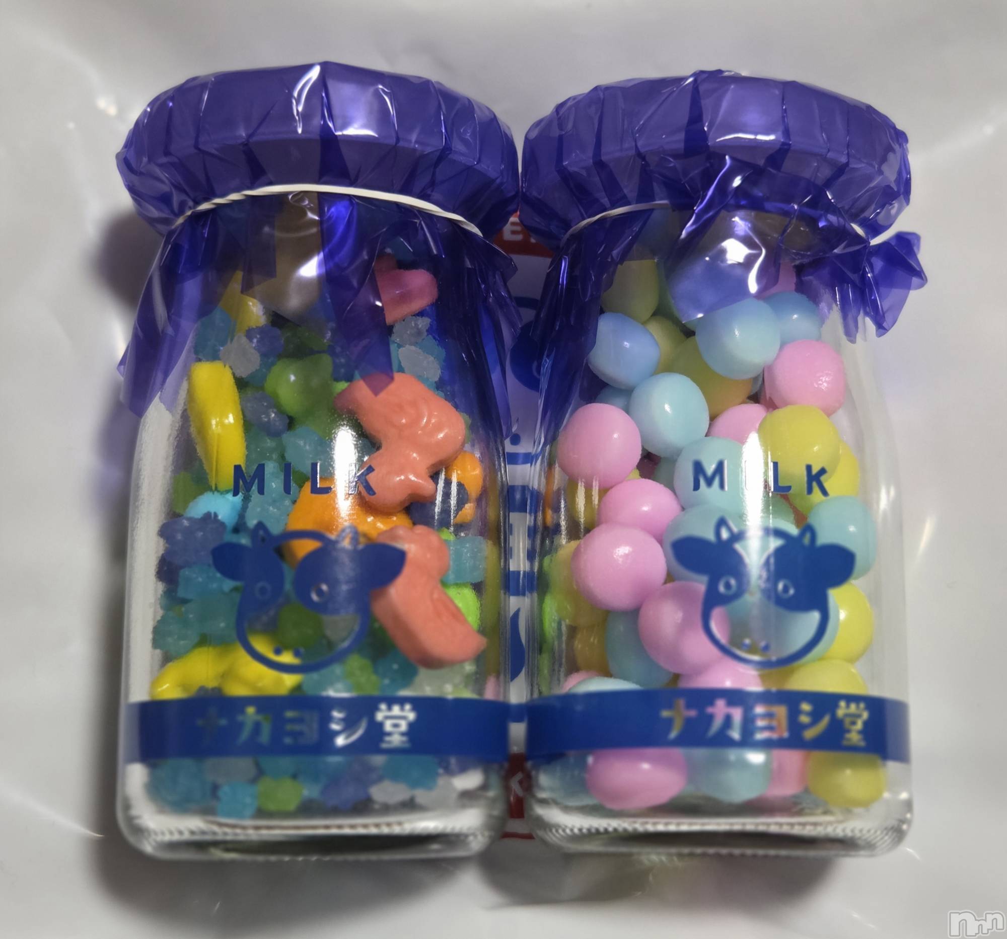 ��Į����Х��顦����֥���� �ץ���� ����(����� �ץ���� ������) ��2025ǯ12��24���̥�֥�����🐮��