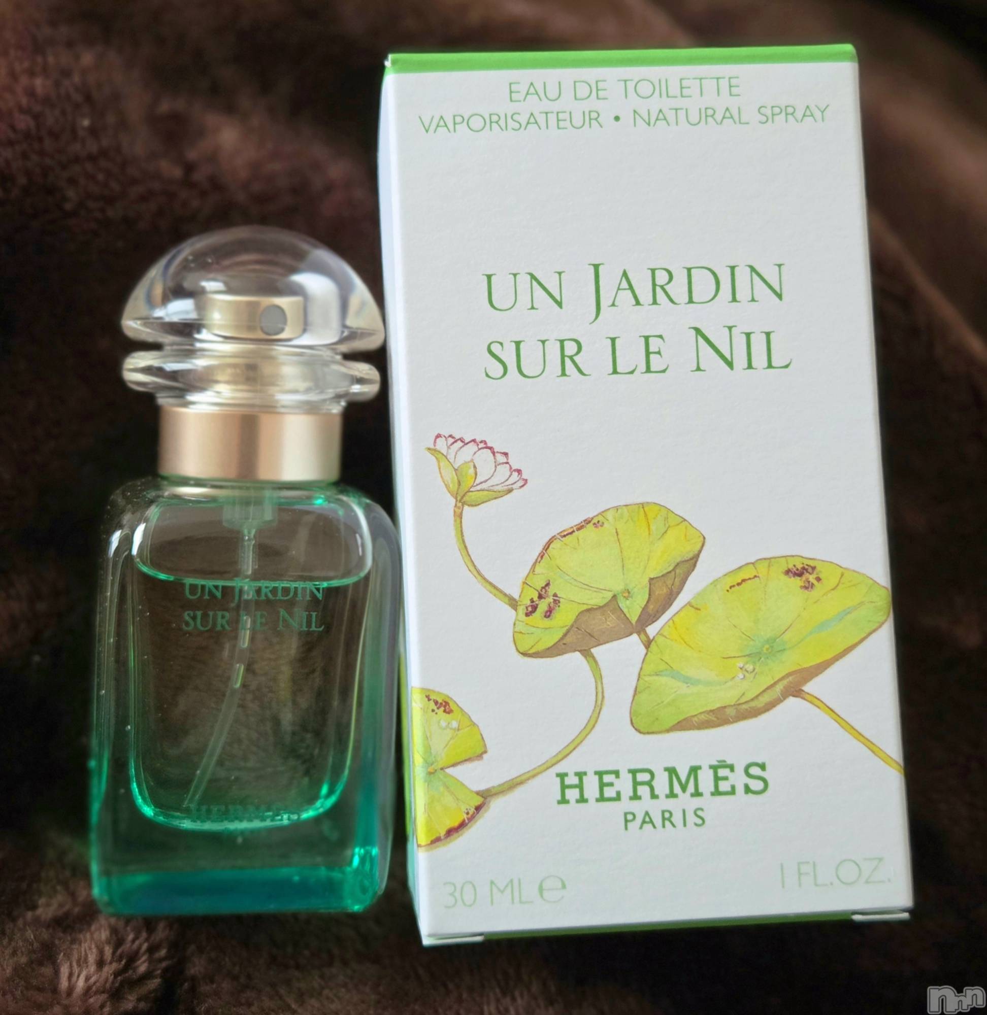 ��Į����Х��顦����֥���� �ץ���� ����(����� �ץ���� ������) ��2025ǯ12��31���̥�֥�����😀��