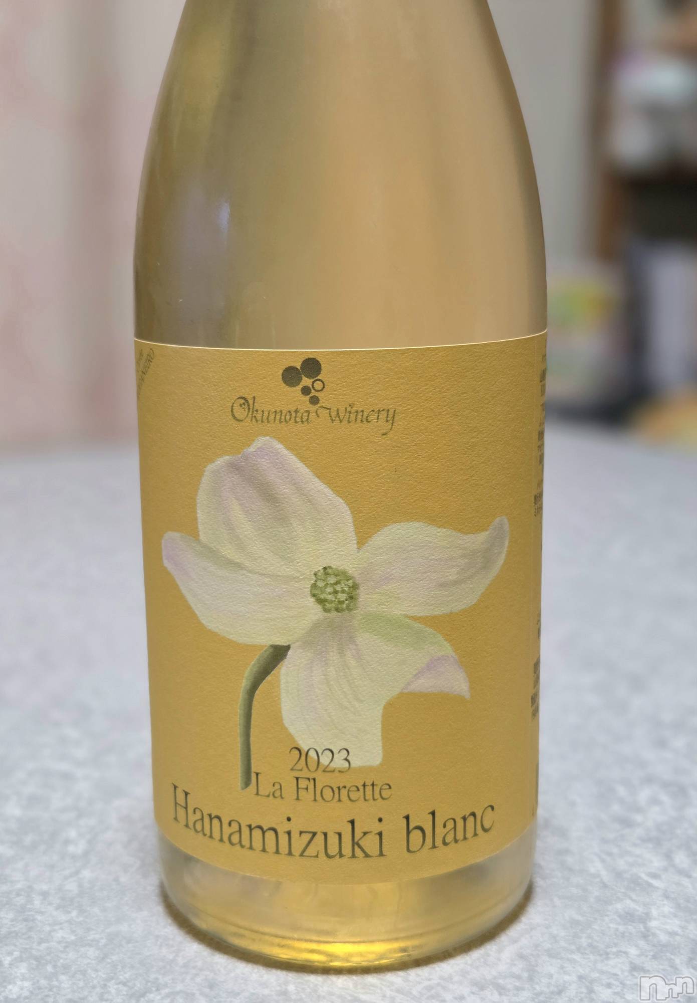 ��Į����Х��顦����֥���� �ץ���� ����(����� �ץ���� ������) ��2026ǯ1��2���̥�֥�����😊��