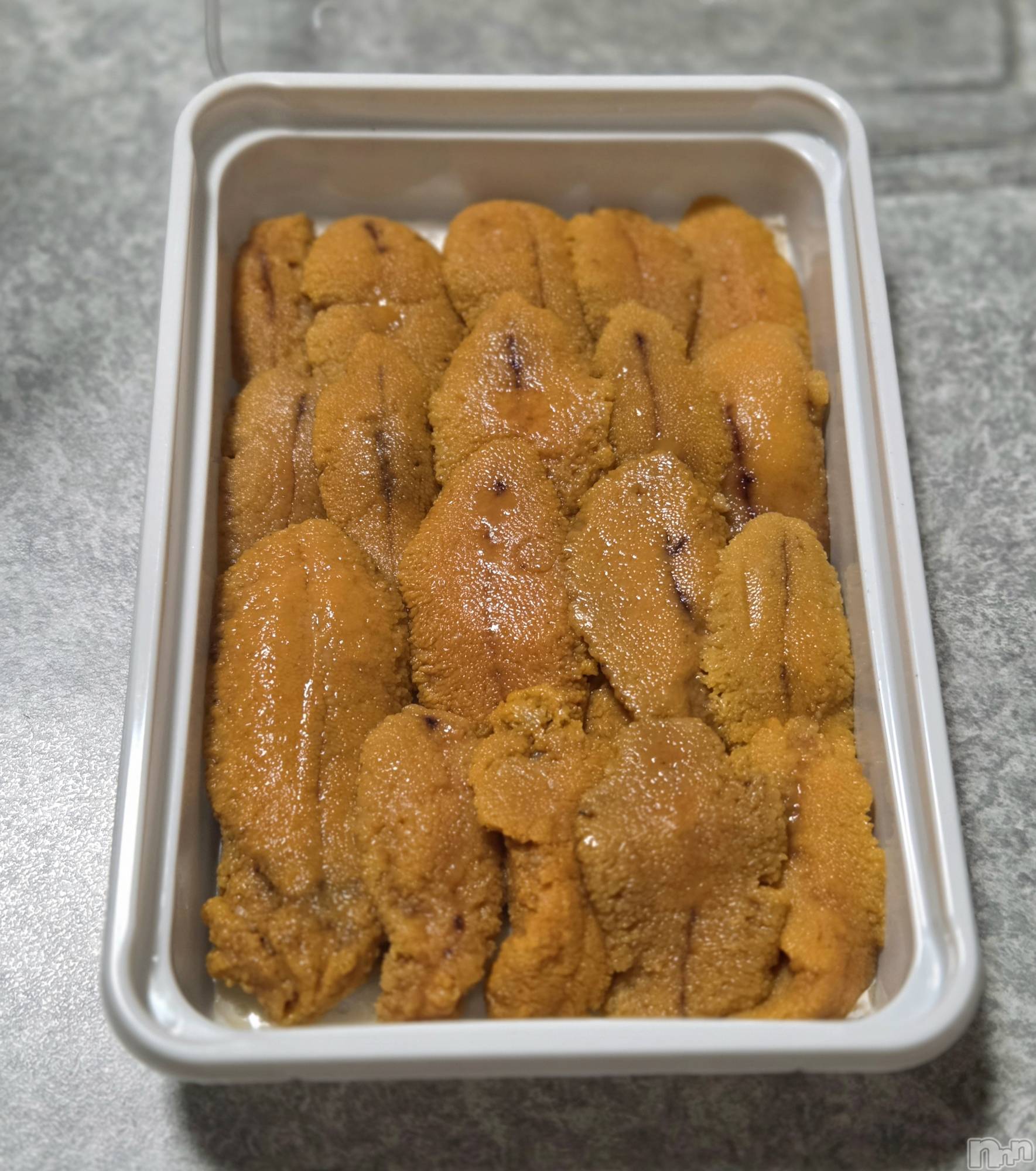 ��Į����Х��顦����֥���� �ץ���� ����(����� �ץ���� ������) ��2026ǯ1��2���̥�֥�����😙��