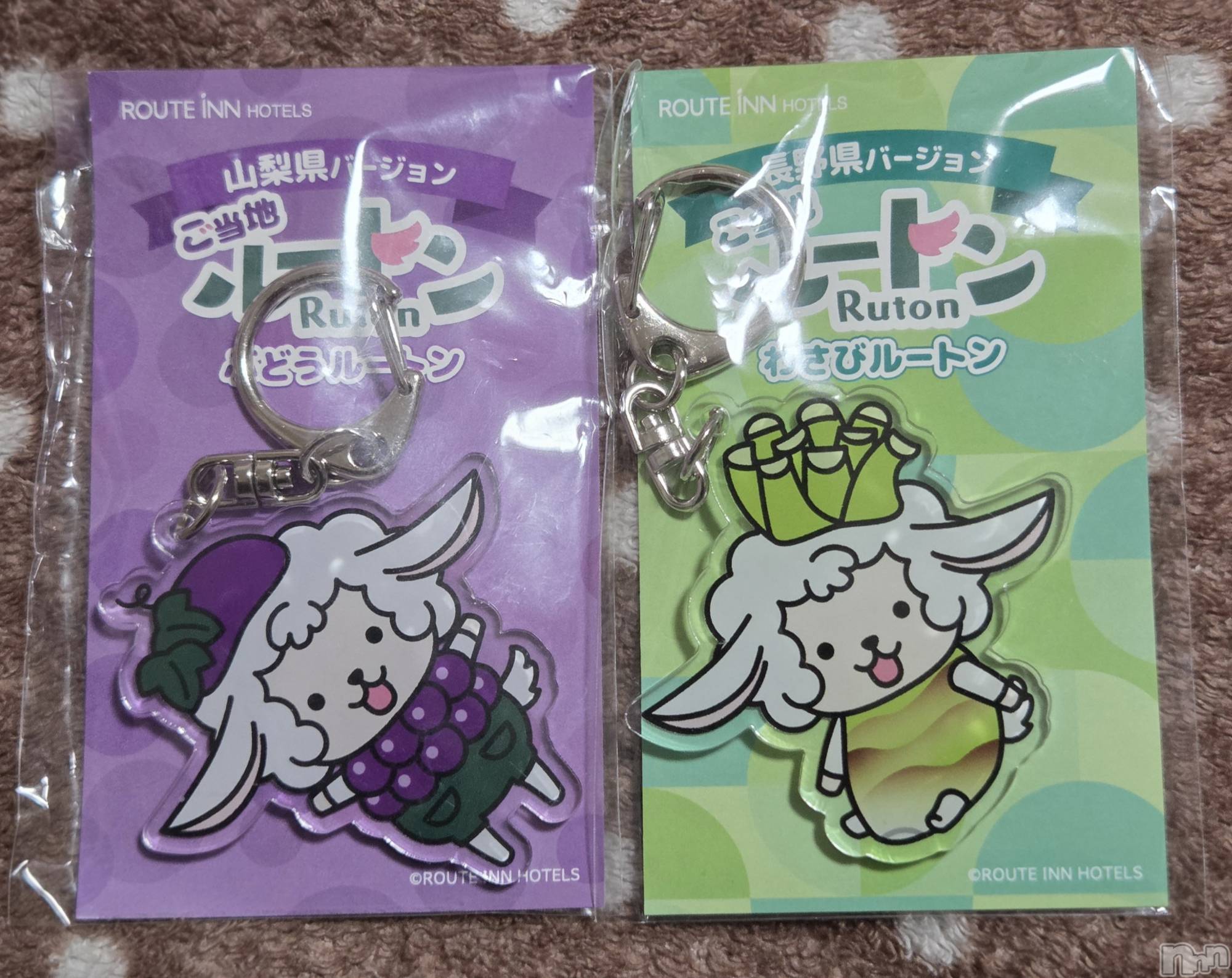 ��Į����Х��顦����֥���� �ץ���� ����(����� �ץ���� ������) ��2026ǯ1��3���̥�֥�����🐑��