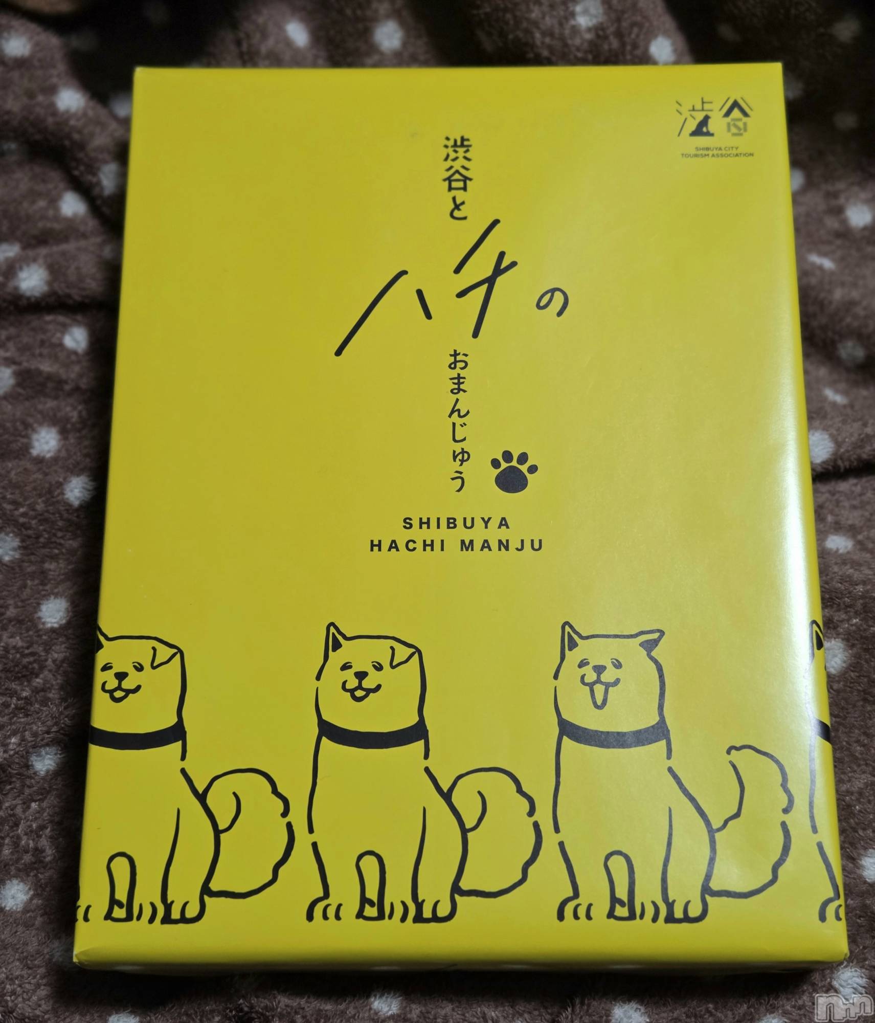 ��Į����Х��顦����֥���� �ץ���� ����(����� �ץ���� ������) ��2026ǯ1��7���̥�֥�����🐶��