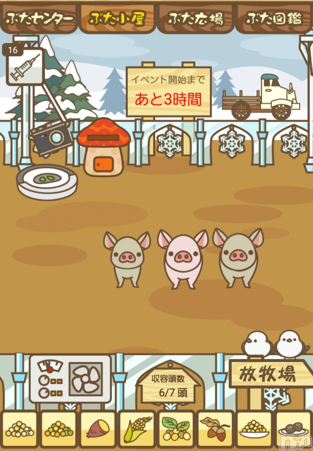 ��Į����Х��顦����֥���� �ץ���� ����(����� �ץ���� ������) ��2026ǯ1��9���̥�֥�����🐷��