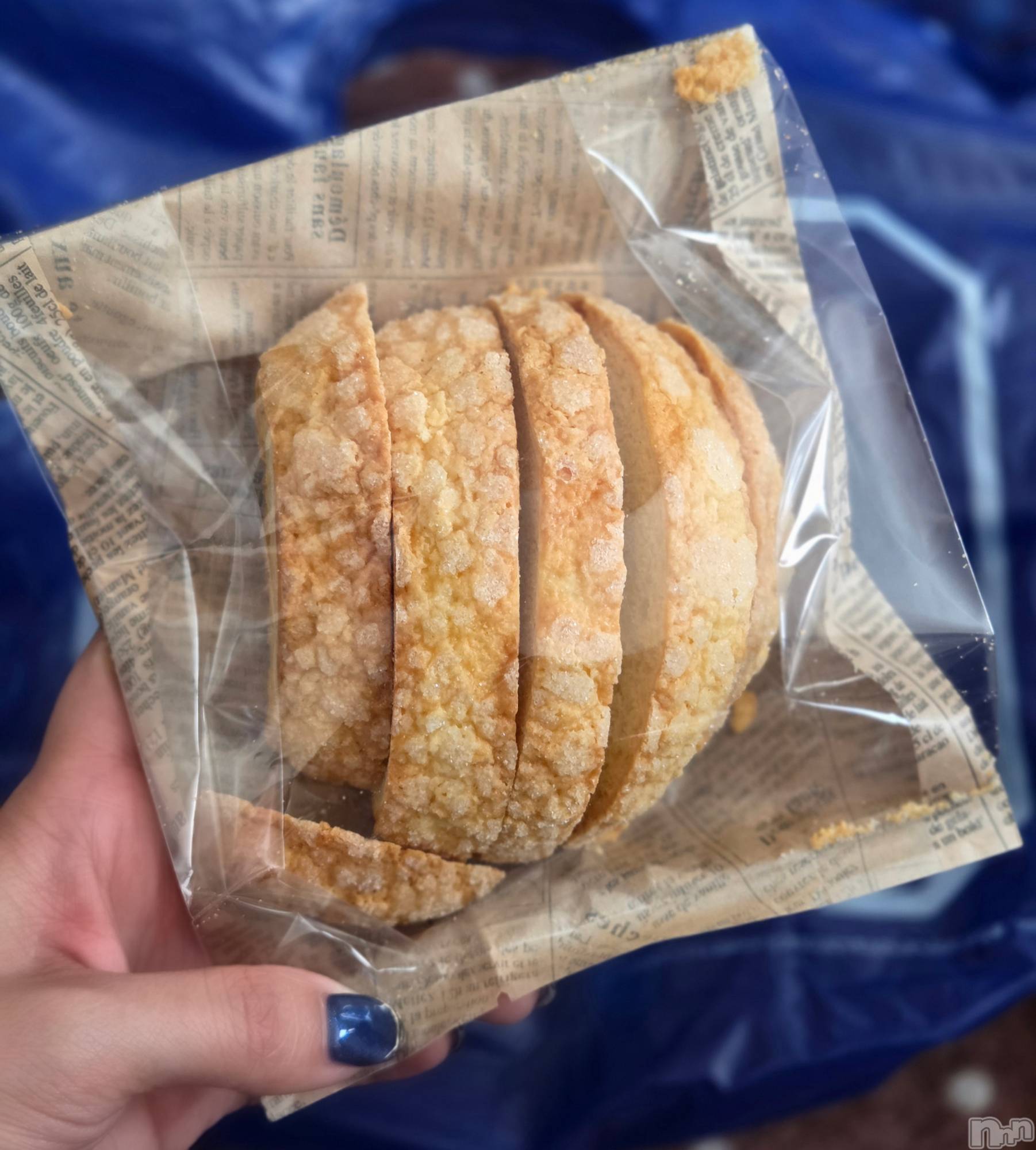 ��Į����Х��顦����֥���� �ץ���� ����(����� �ץ���� ������) ��2026ǯ1��12���̥�֥�����🍈��