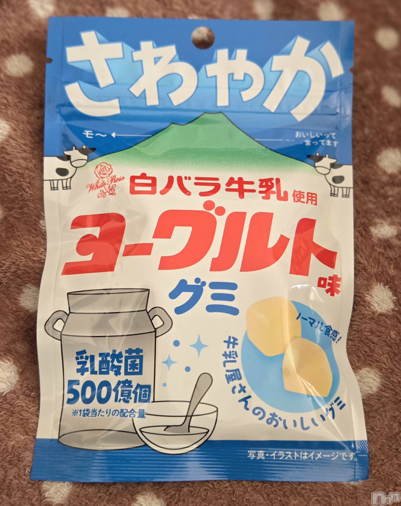 ��Į����Х��顦����֥���� �ץ���� ����(����� �ץ���� ������) ��2026ǯ1��24���̥�֥�����🐮��