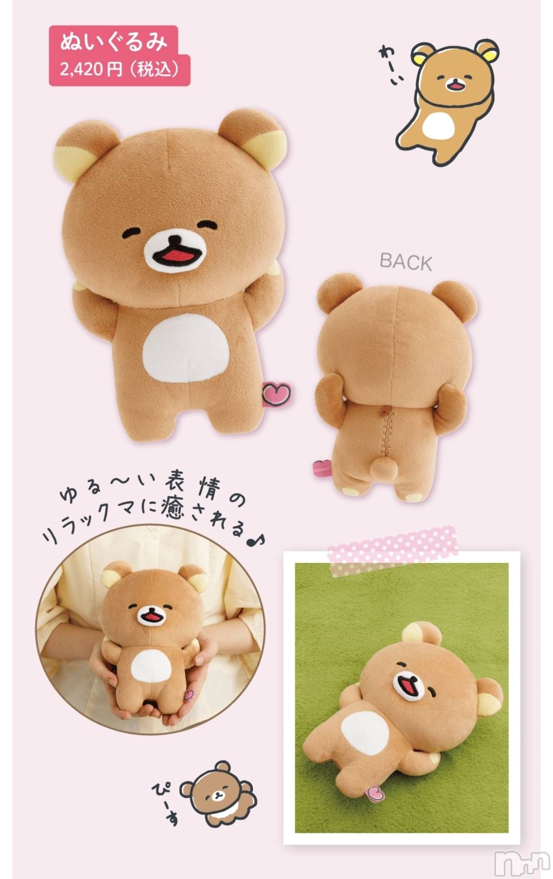 ��Į����Х��顦����֥���� �ץ���� ����(����� �ץ���� ������) ��2026ǯ1��24���̥�֥�����😍��