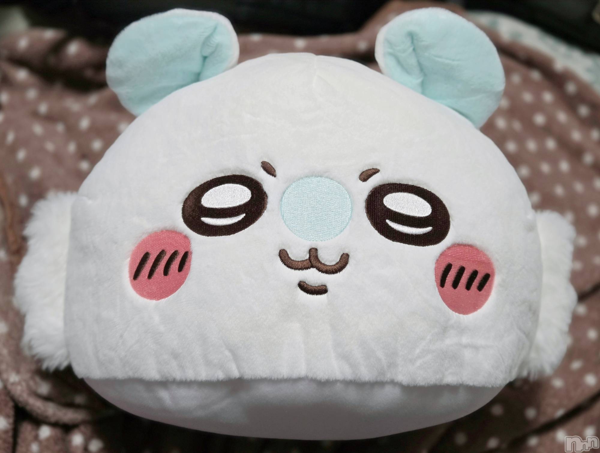 ��Į����Х��顦����֥���� �ץ���� ����(����� �ץ���� ������) ��2026ǯ1��27���̥�֥�����😄��