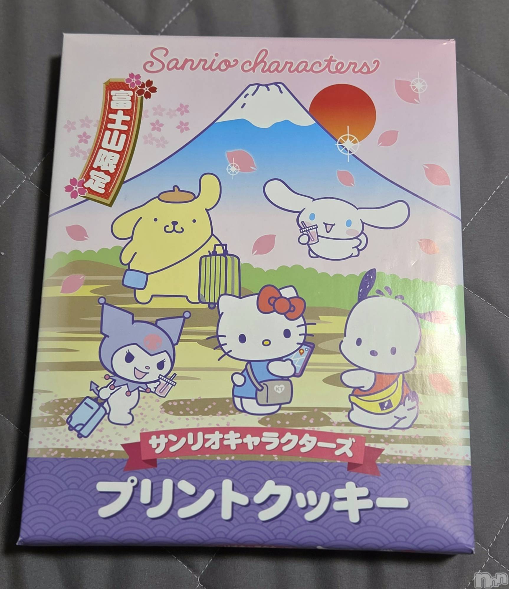 ��Į����Х��顦����֥���� �ץ���� ����(����� �ץ���� ������) ��2026ǯ2��2���̥�֥�����🗻��