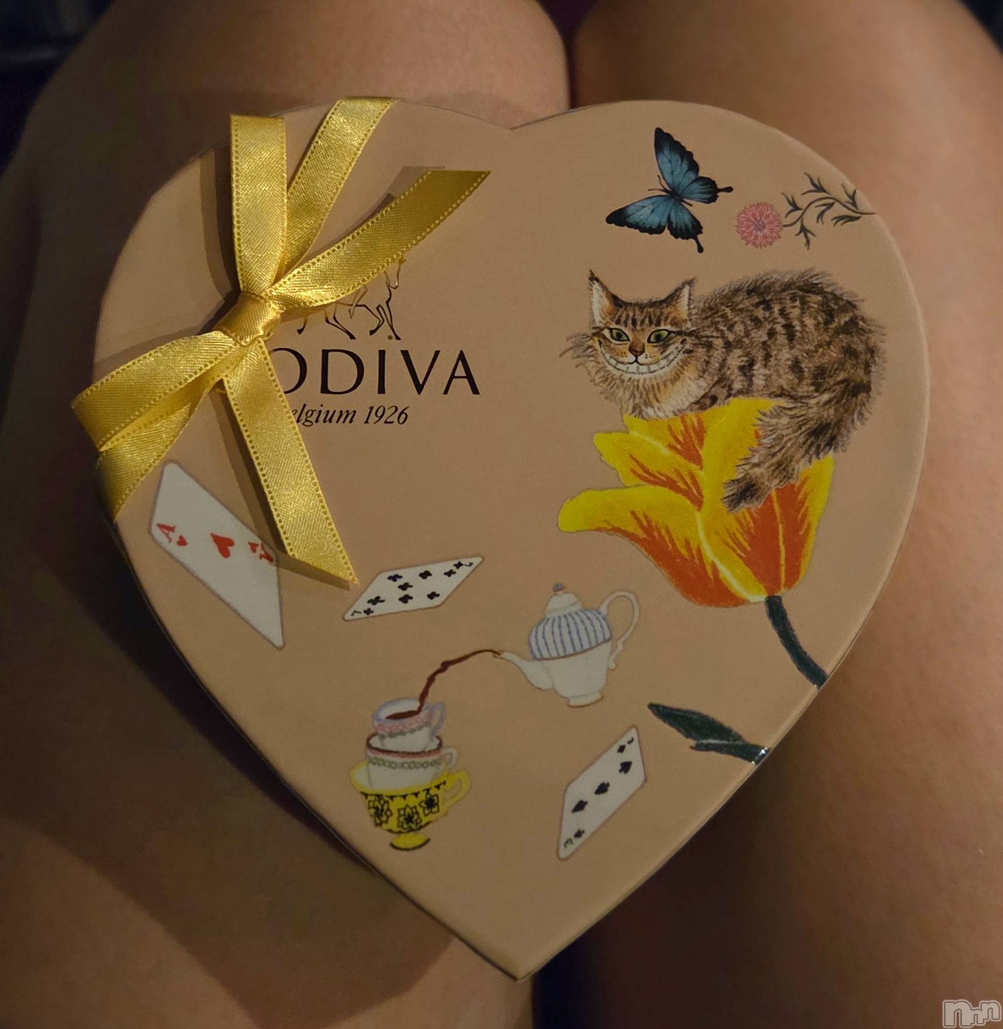 ��Į����Х��顦����֥���� �ץ���� ����(����� �ץ���� ������) ��2026ǯ2��9���̥�֥�����😌��