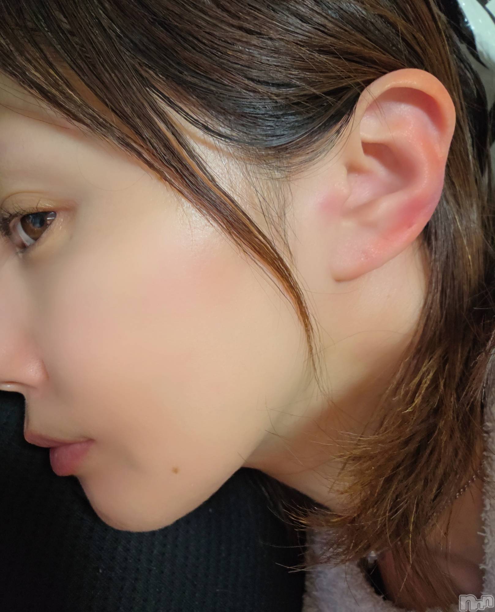 ��Į����Х��顦����֥���� �ץ���� ����(����� �ץ���� ������) ��2026ǯ2��11���̥�֥�����😆��