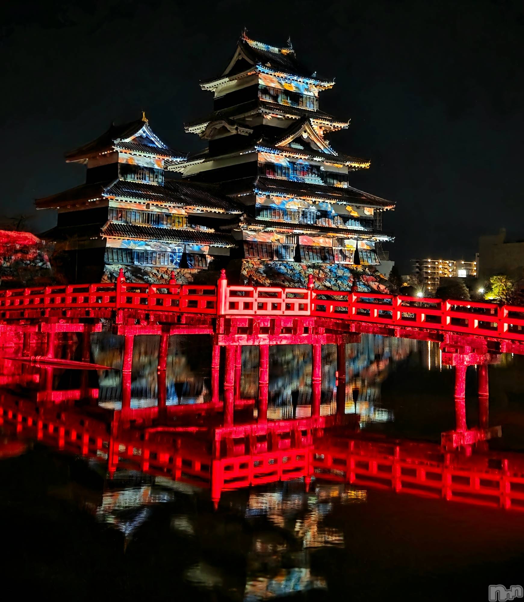 ��Į����Х��顦����֥���� �ץ���� ����(����� �ץ���� ������) ��2026ǯ2��17���̥�֥�����✨��