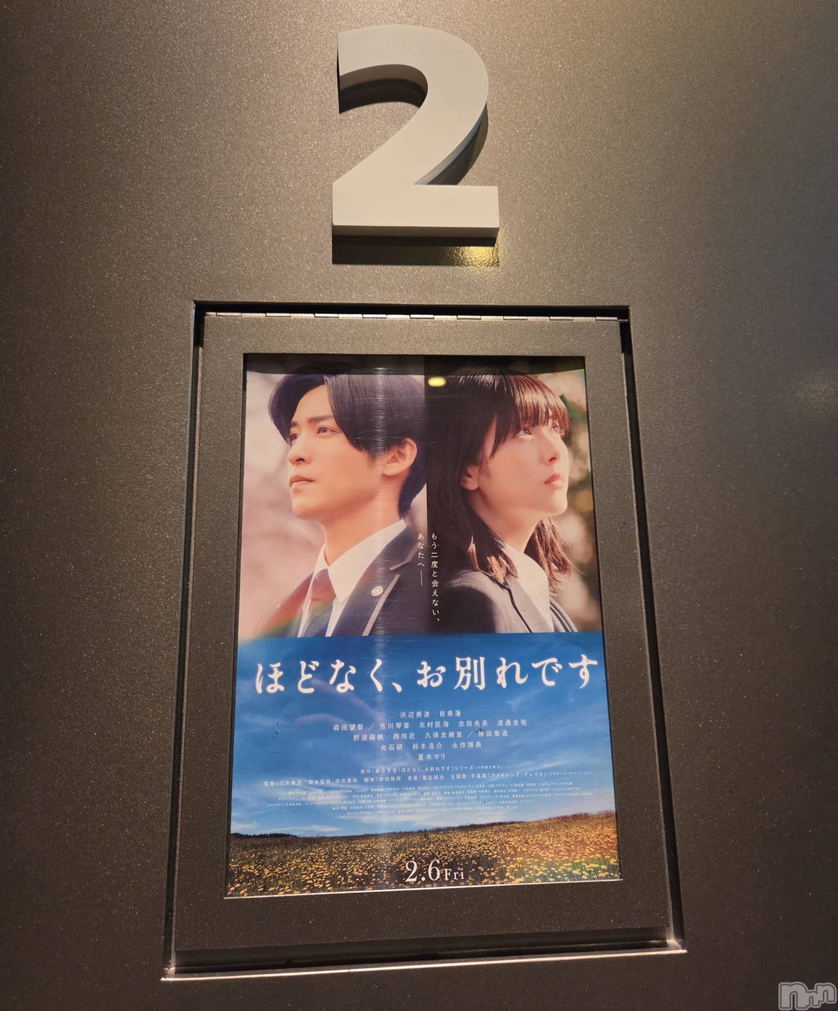 ��Į����Х��顦����֥���� �ץ���� ����(����� �ץ���� ������) ��2026ǯ2��17���̥�֥�����🥲��