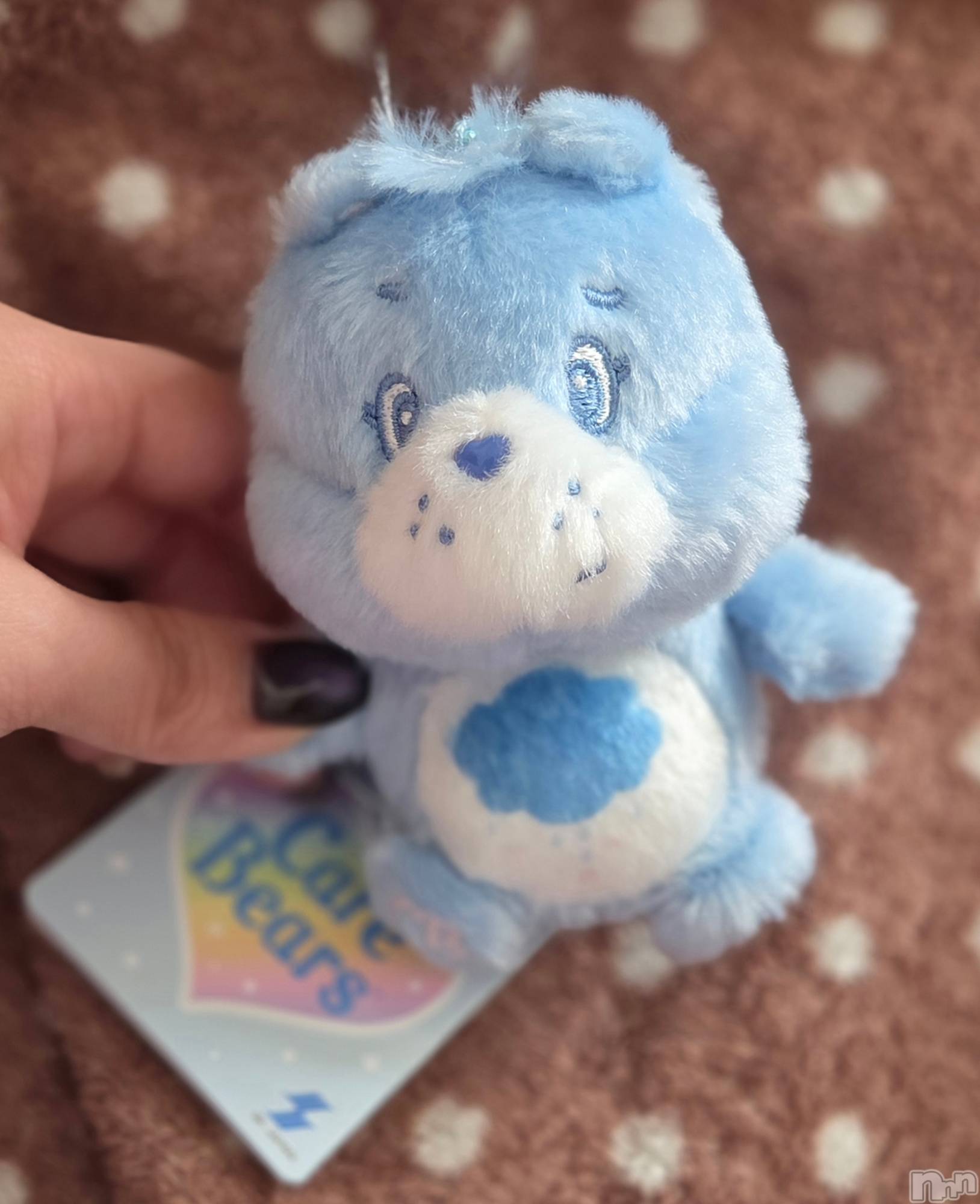 ��Į����Х��顦����֥���� �ץ���� ����(����� �ץ���� ������) ��2026ǯ2��22���̥�֥�����😝��