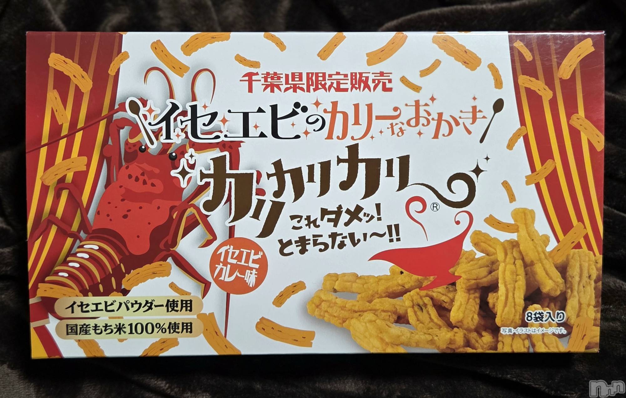 ��Į����Х��顦����֥���� �ץ���� ����(����� �ץ���� ������) ��2026ǯ2��22���̥�֥�����🦐��