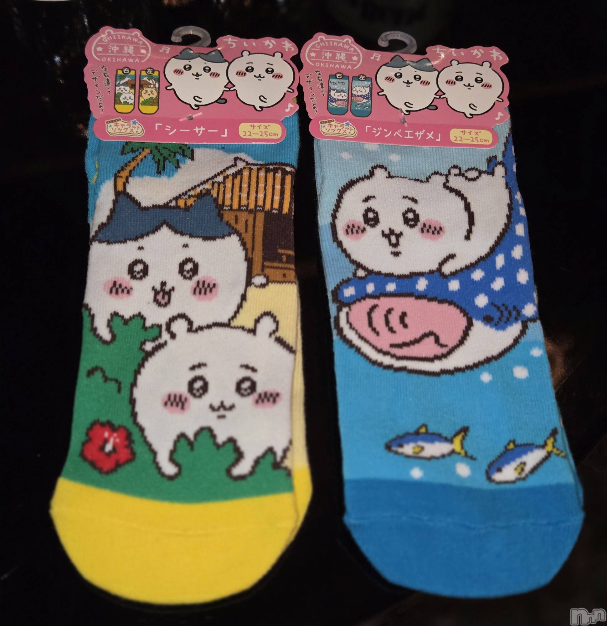 ��Į����Х��顦����֥���� �ץ���� ����(����� �ץ���� ������) ��2026ǯ3��2���̥�֥�����🧦��