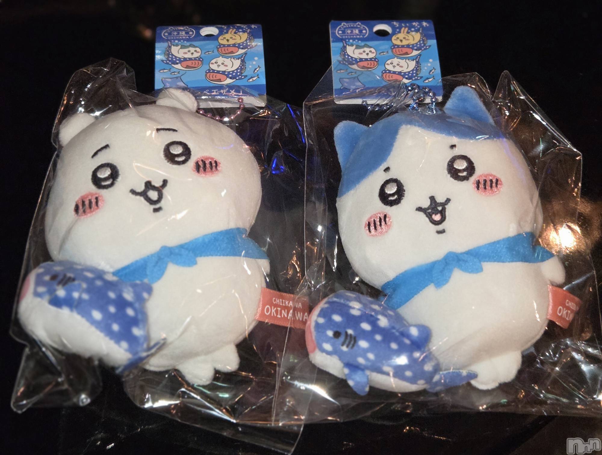 ��Į����Х��顦����֥���� �ץ���� ����(����� �ץ���� ������) ��2026ǯ3��2���̥�֥�����🌟��