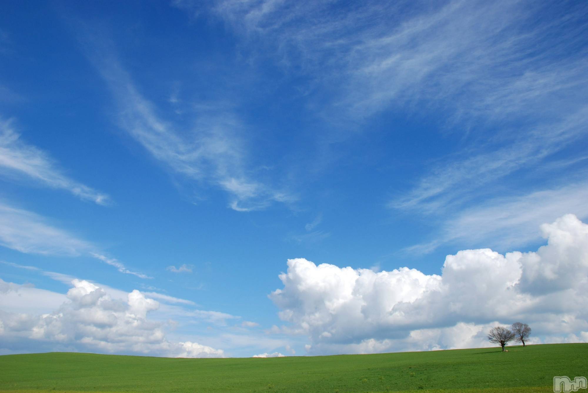 ��Į����Х��顦����֥���� �ץ���� ����(����� �ץ���� ������) ��2026ǯ3��4���̥�֥�����😮��