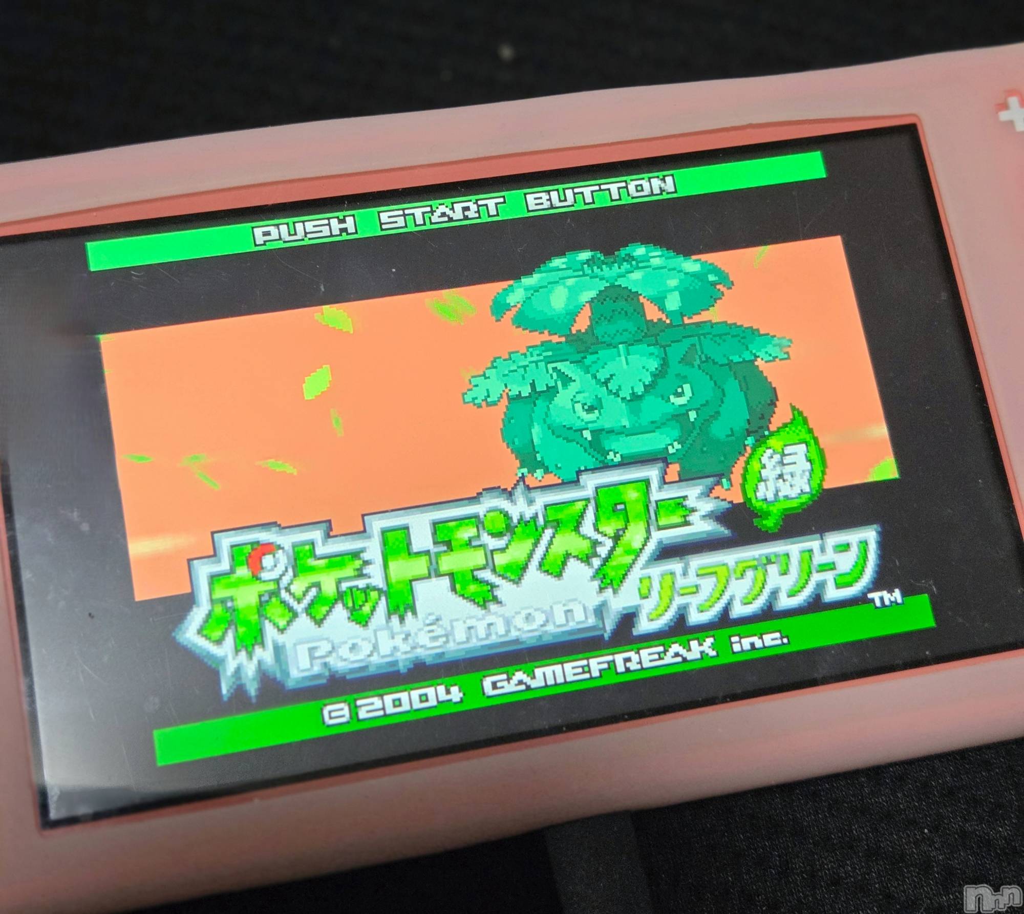 ��Į����Х��顦����֥���� �ץ���� ����(����� �ץ���� ������) ��2026ǯ3��4���̥�֥�����🌱‬‪��