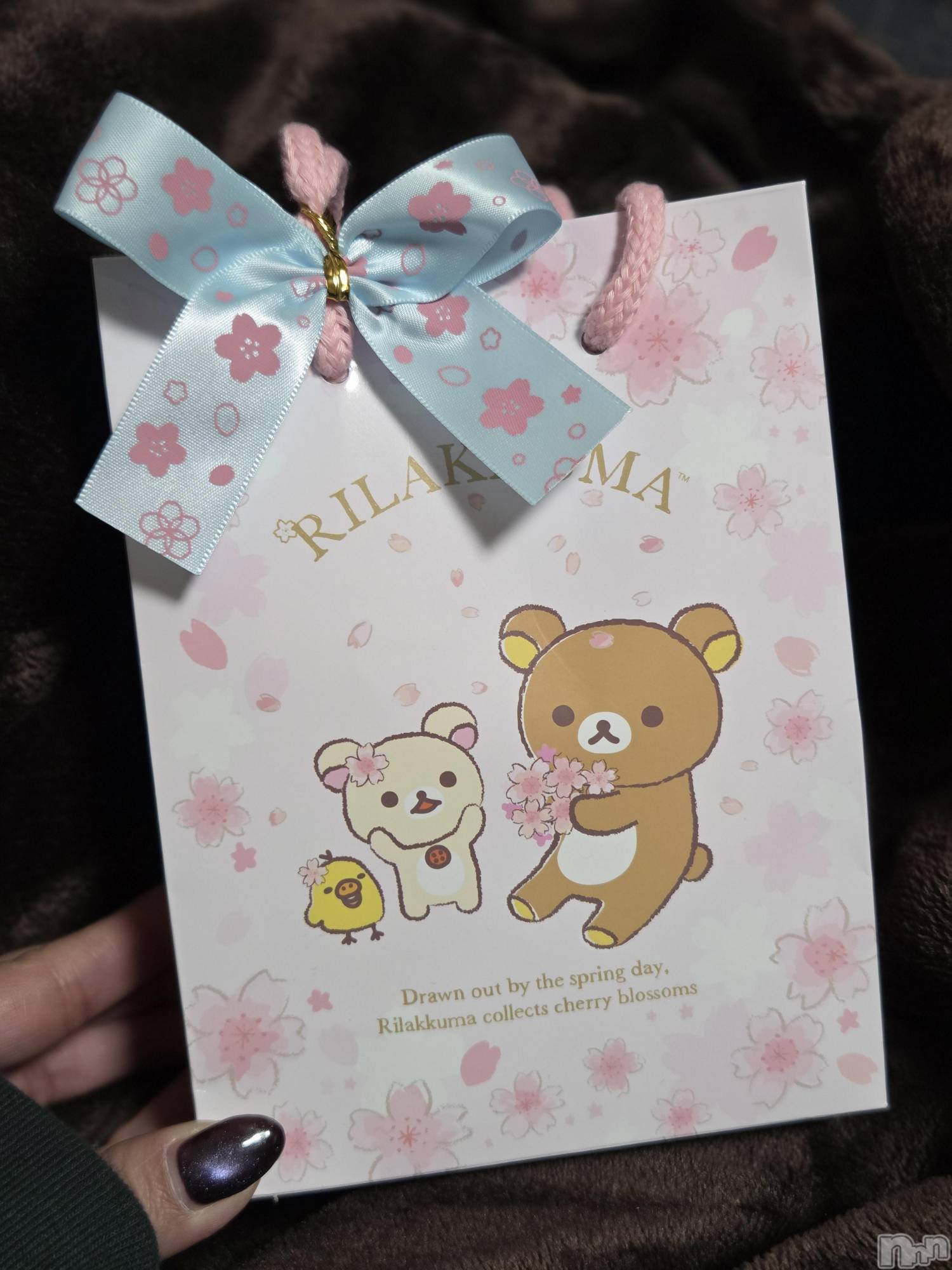 ��Į����Х��顦����֥���� �ץ���� ����(����� �ץ���� ������) ��2026ǯ3��7���̥�֥�����🥰��