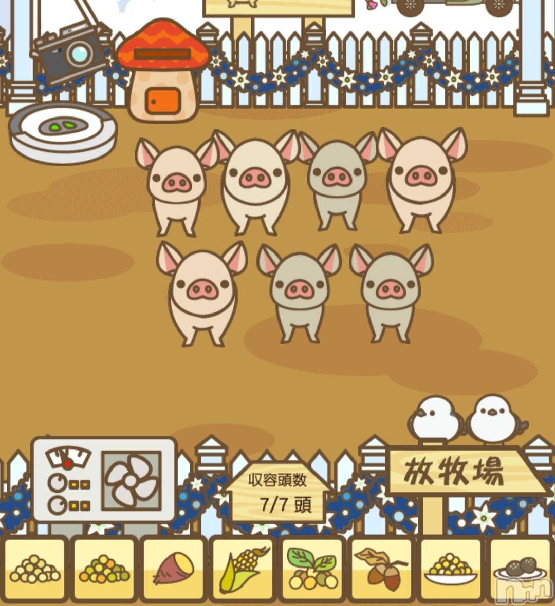 ��Į����Х��顦����֥���� �ץ���� ����(����� �ץ���� ������) ��2026ǯ3��10���̥�֥�����👀��