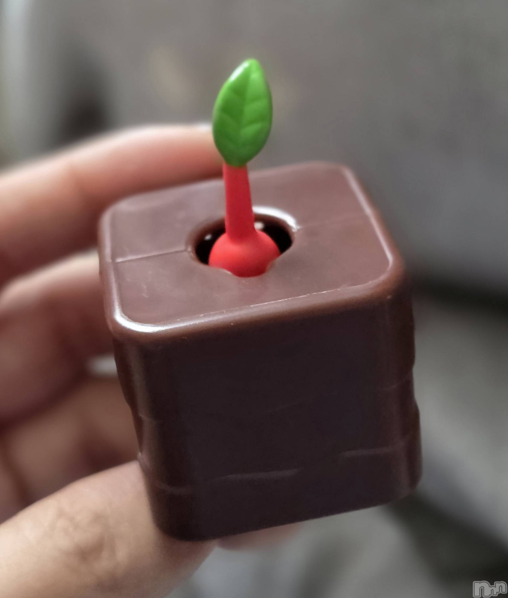 ��Į����Х��顦����֥���� �ץ���� ����(����� �ץ���� ������) ��2026ǯ3��18���̥�֥�����‪🌱‬��