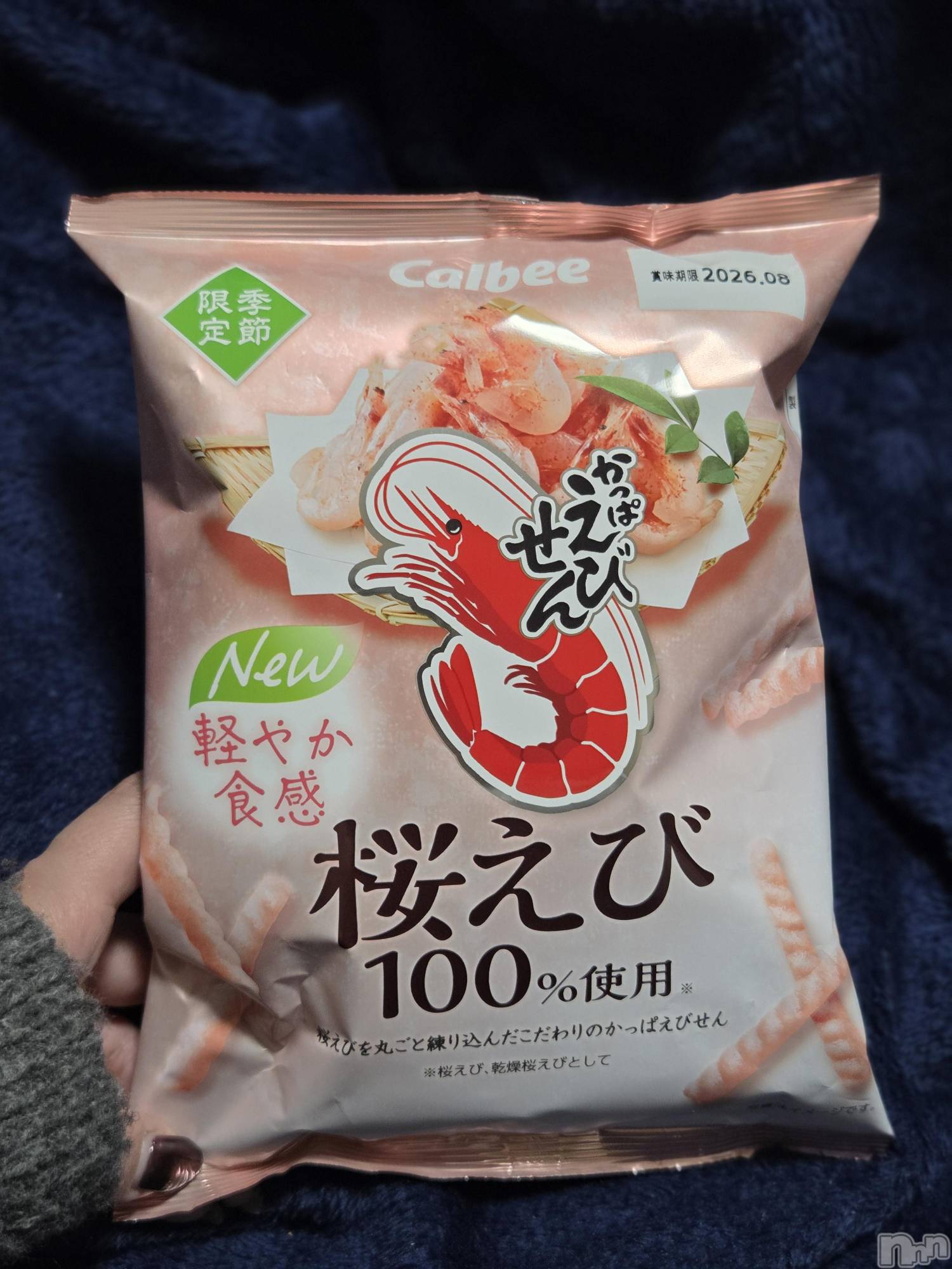 ��Į����Х��顦����֥���� �ץ���� ����(����� �ץ���� ������) ��2026ǯ3��18���̥�֥�����🦐��