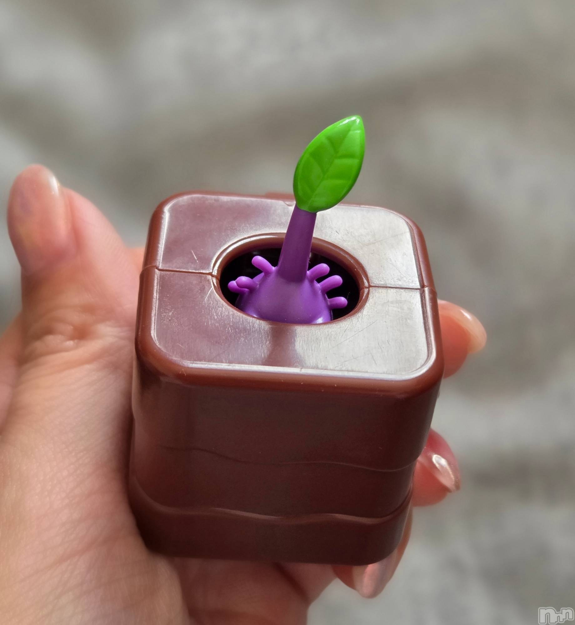 ��Į����Х��顦����֥���� �ץ���� ����(����� �ץ���� ������) ��2026ǯ3��22���̥�֥�����😁��