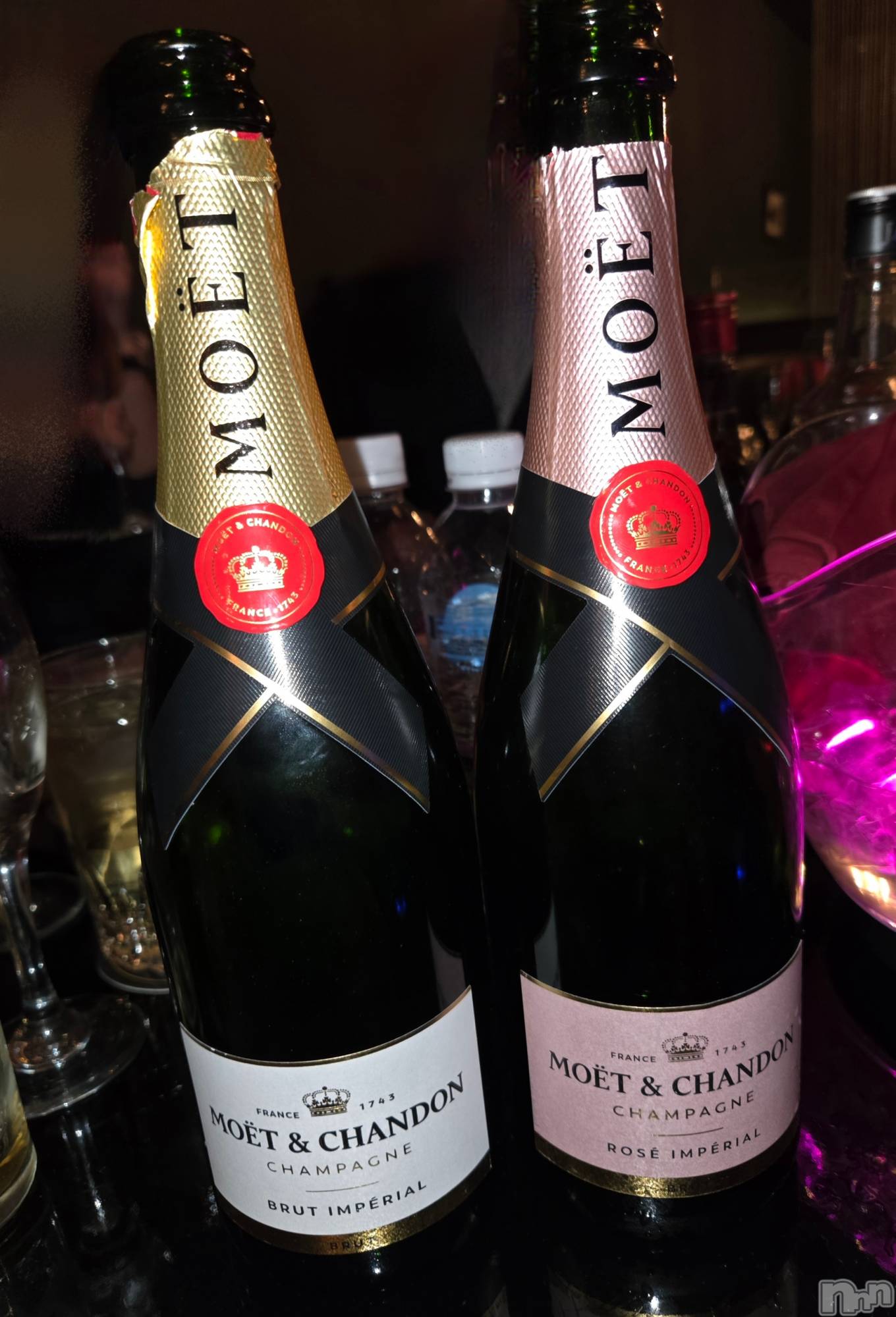 ��Į����Х��顦����֥���� �ץ���� ����(����� �ץ���� ������) ��2026ǯ3��23���̥�֥�����✨��