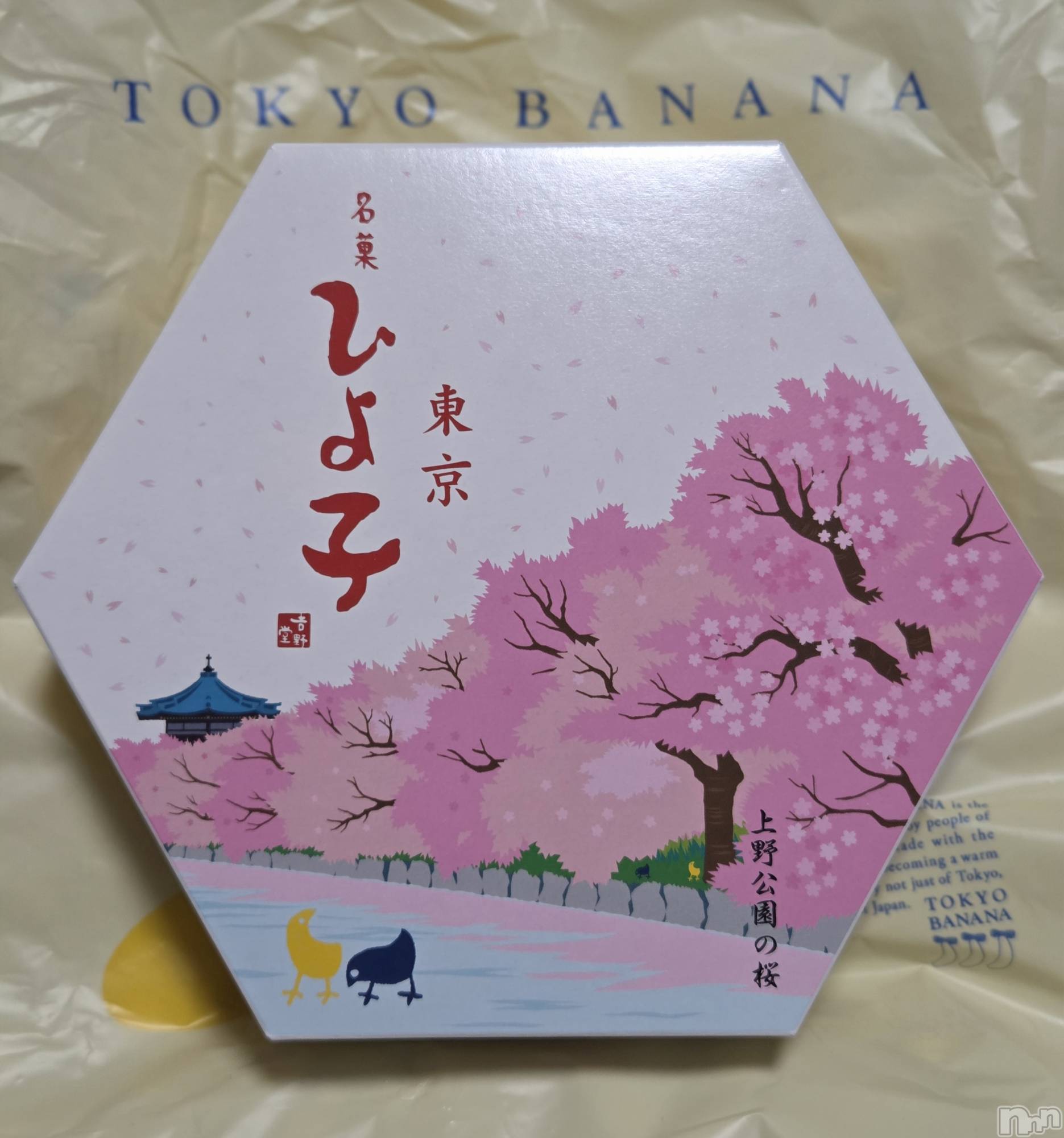 ��Į����Х��顦����֥���� �ץ���� ����(����� �ץ���� ������) ��2026ǯ3��23���̥�֥�����🌸��