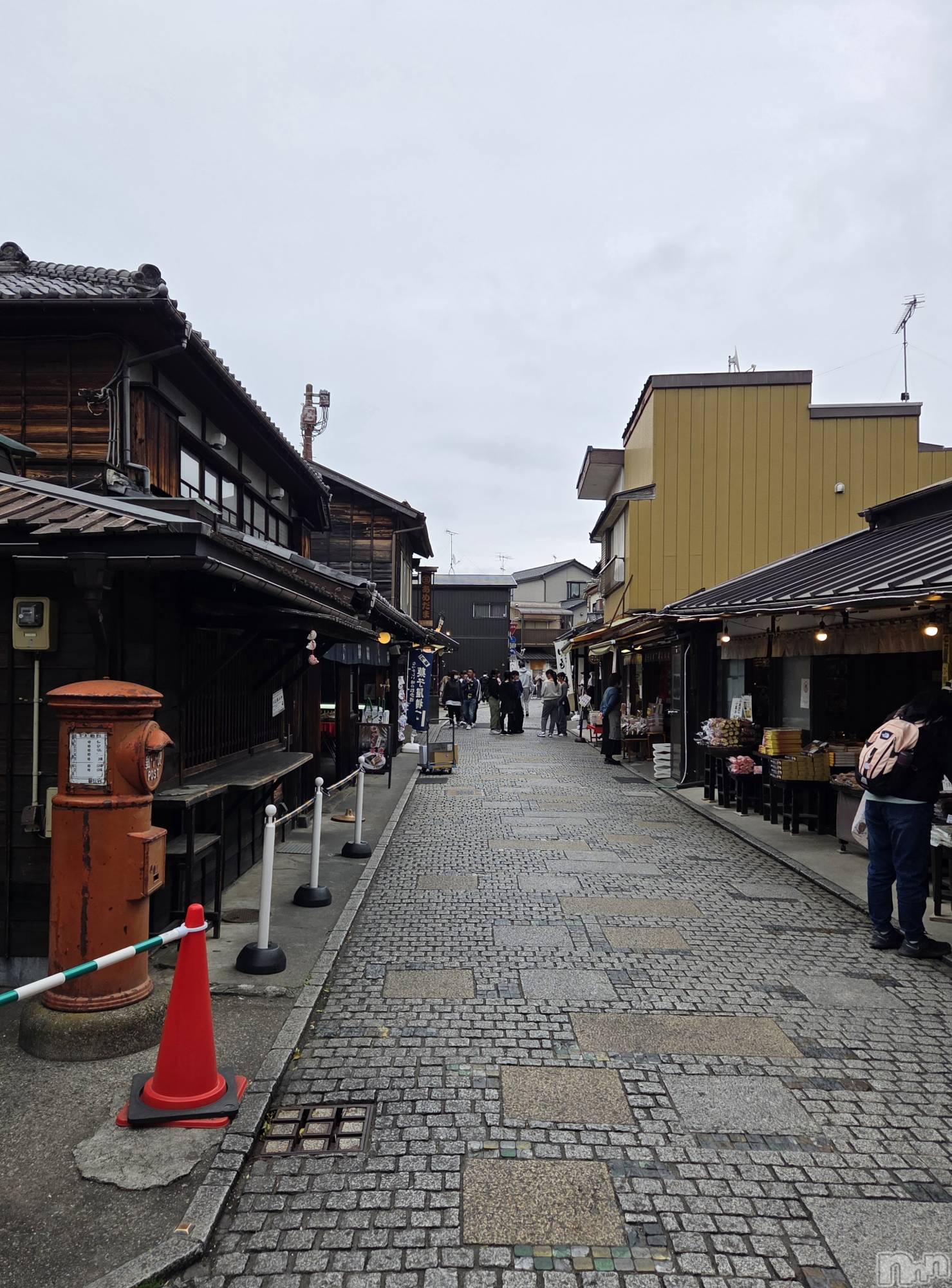 ��Į����Х��顦����֥���� �ץ���� ����(����� �ץ���� ������) ��2026ǯ4��1���̥�֥�����🍬��