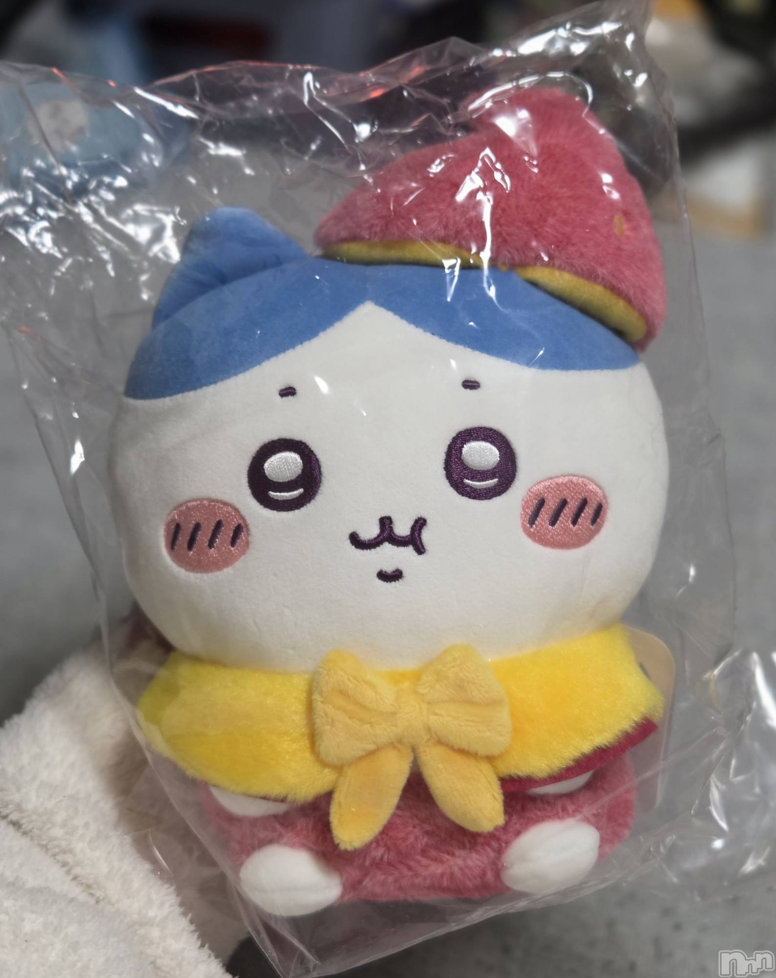 ��Į����Х��顦����֥���� �ץ���� ����(����� �ץ���� ������) ��2026ǯ4��2���̥�֥�����🤩��