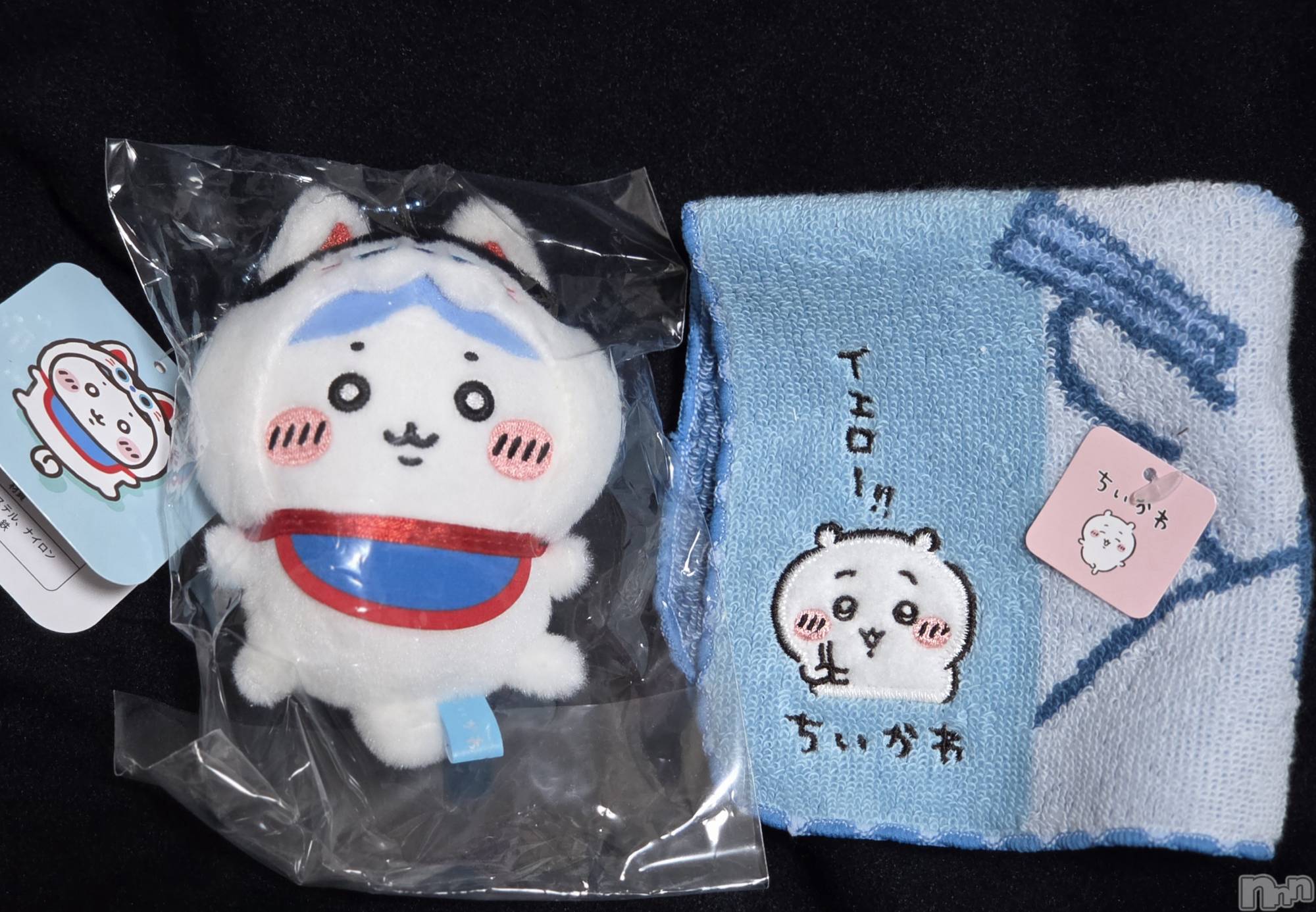 ��Į����Х��顦����֥���� �ץ���� ����(����� �ץ���� ������) ��2026ǯ4��2���̥�֥�����🤭��