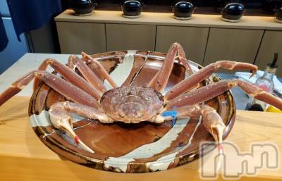 ĮХ顦֥ ץ ( ץ ) ǵʤߤ1220̥֥🦀