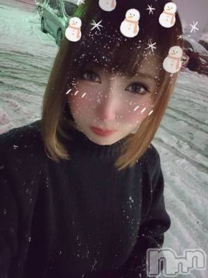 ĮХ顦֥ ץ ( ץ ) ǵʤߤ210̥֥❄