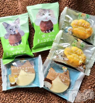 ĮХ顦֥ ץ ( ץ ) ǵʤߤ316̥֥🐱