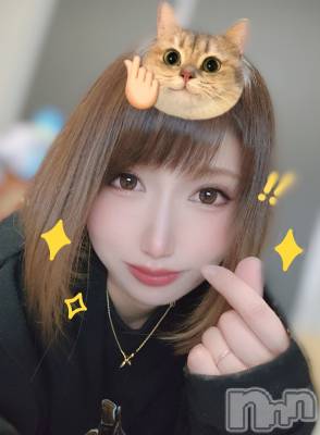 ĮХ顦֥ ץ ( ץ ) ǵʤߤ320̥֥🐱