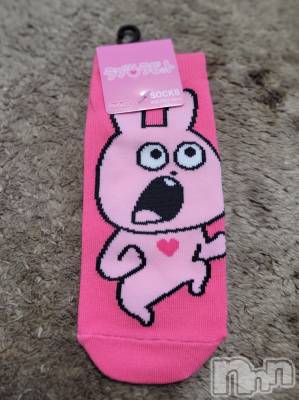 ĮХ顦֥ ץ ( ץ ) ǵʤߤ65̥֥🐰