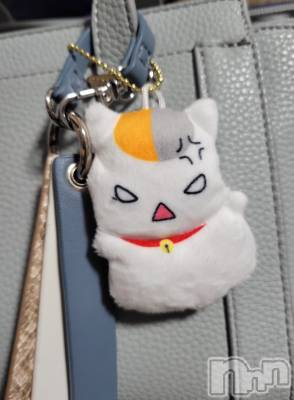 ĮХ顦֥ ץ ( ץ ) ǵʤߤ612̥֥🐱