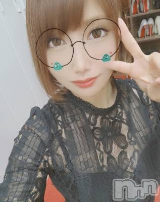 ĮХ顦֥ ץ ( ץ ) ǵʤߤ620̥֥👓
