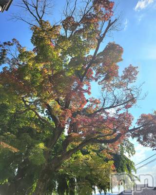ĮХ顦֥ ץ ( ץ ) ǵʤߤ725̥֥🍁