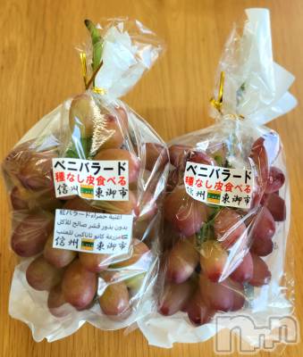 ĮХ顦֥ ץ ( ץ ) ǵʤߤ730̥֥🍇