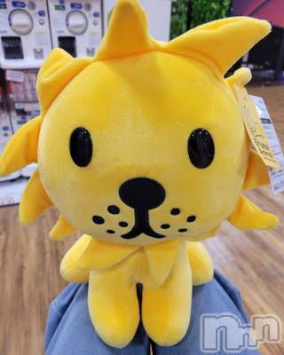 ĮХ顦֥ ץ ( ץ ) ǵʤߤ812̥֥🦁